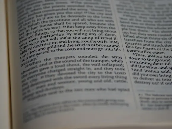 Kasino Grand Eagle Sokongan